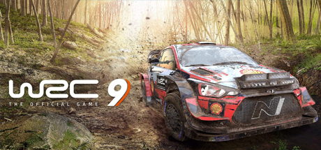 世界汽车拉力锦标赛9/WRC 9 FIA World Rally Championship